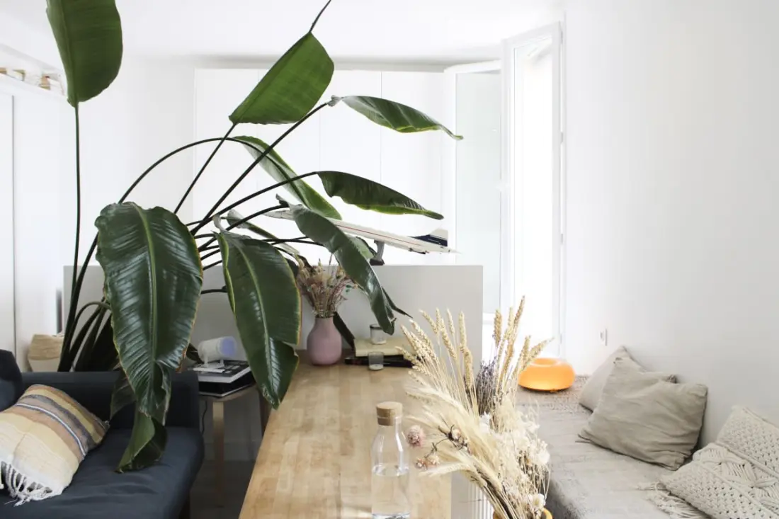 Loft Párizsban Megtekintés