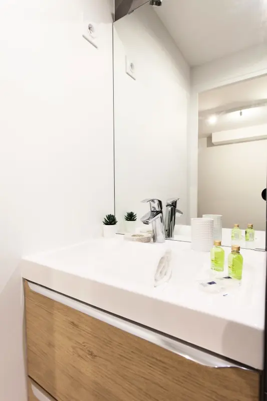 Appartement Lumineux nabij het Heilige Hart