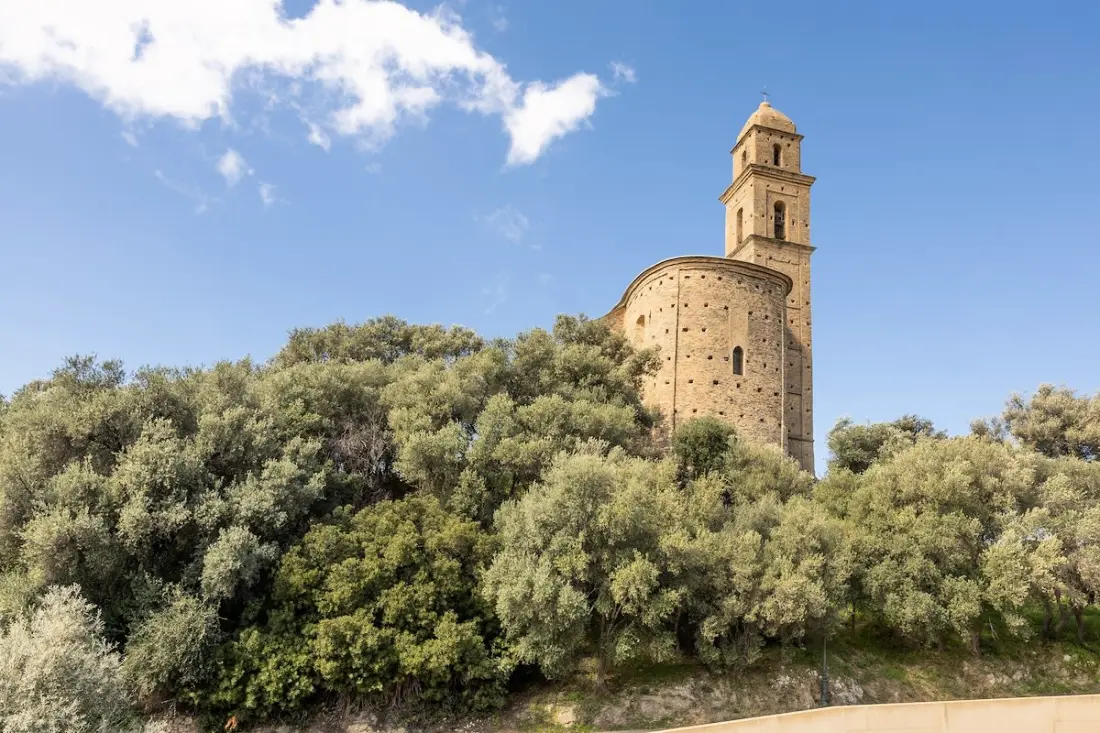 Fiore Di Vita