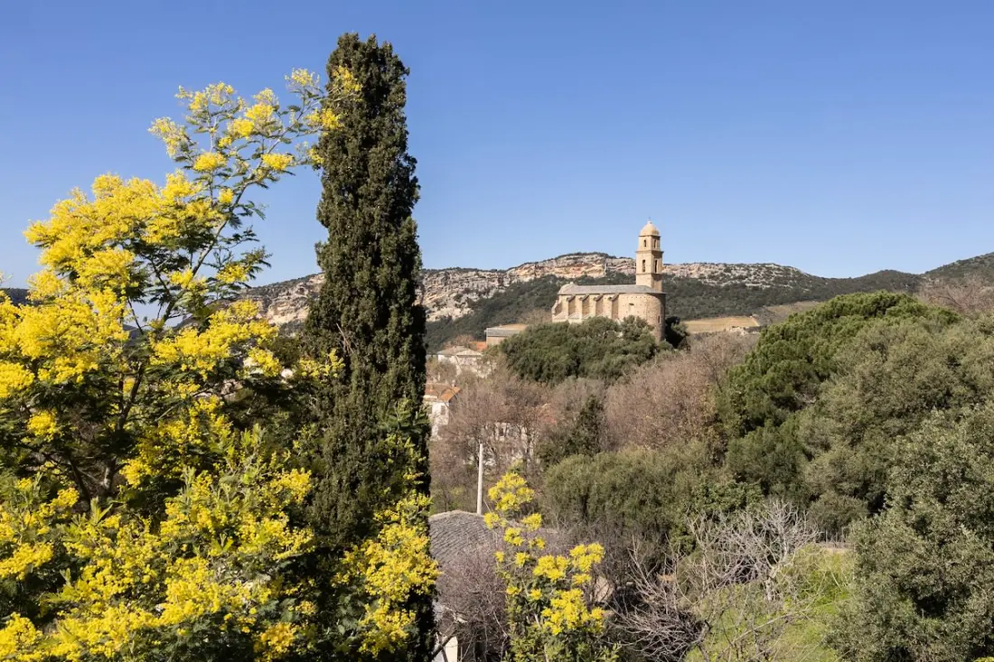 Fiore Di Vita