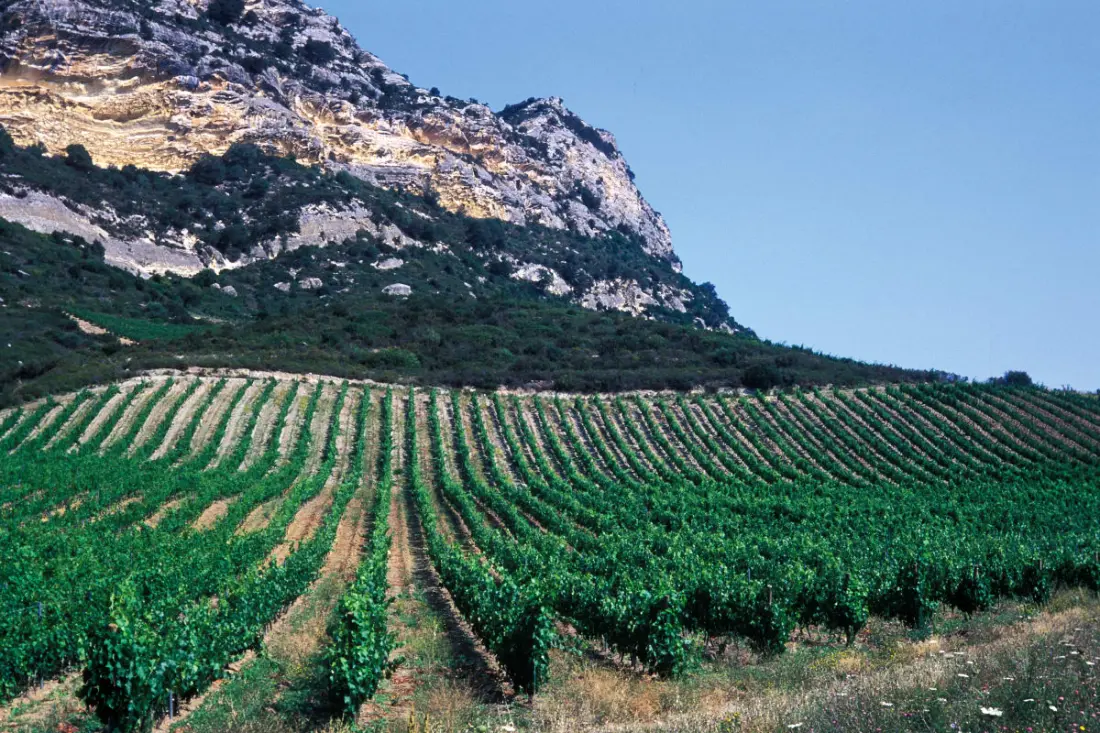 Villas Verroust - Domaine D