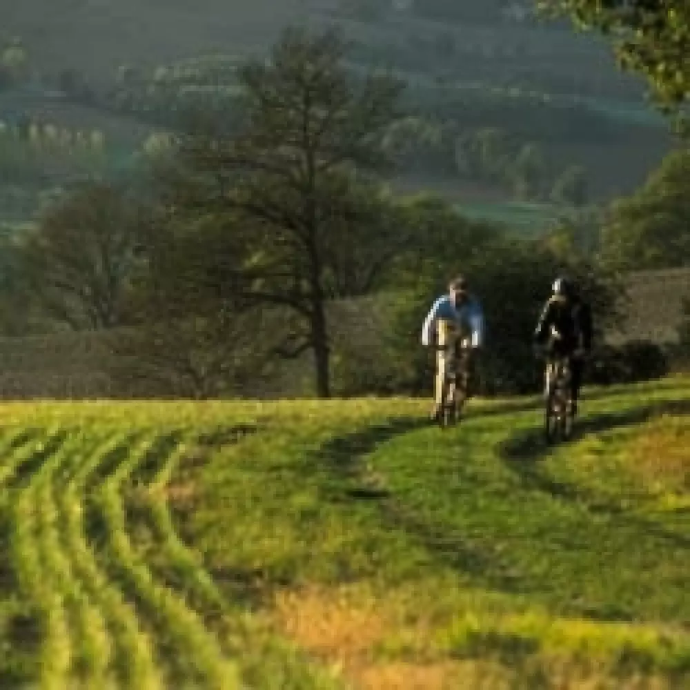 Domaine des Cadets de Gascogne