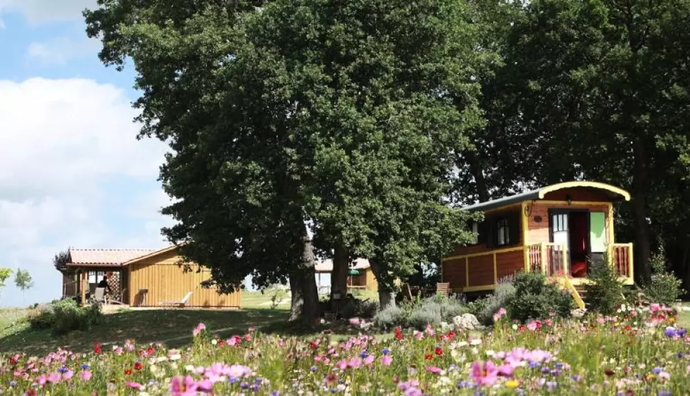 Domaine des Cadets de Gascogne