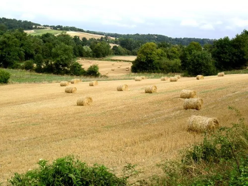 Domaine des Cadets de Gascogne