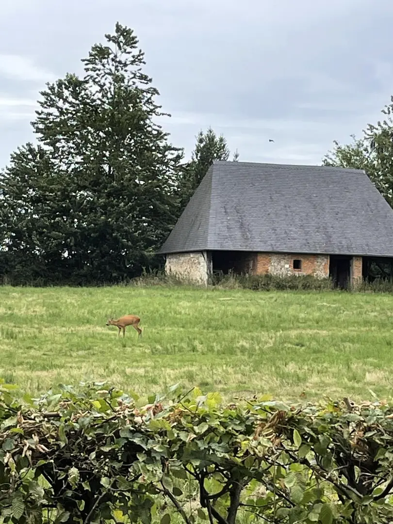 Gîte de France Gîtes de france® - a 3 fül rózsakert