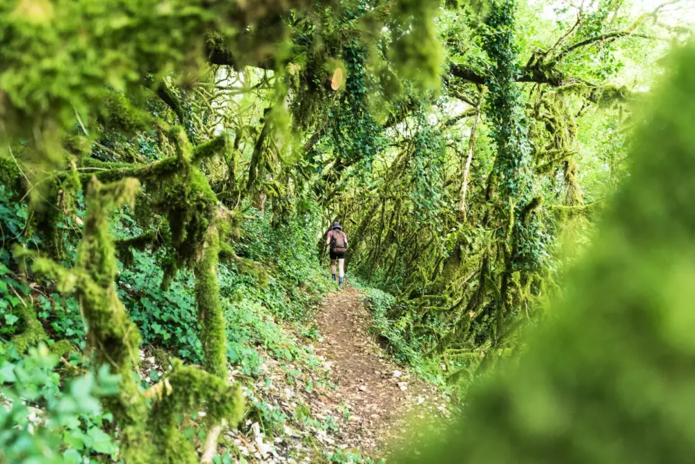 Campingplatz Sunêlia Le Séquoia 4 Sterne★★★★