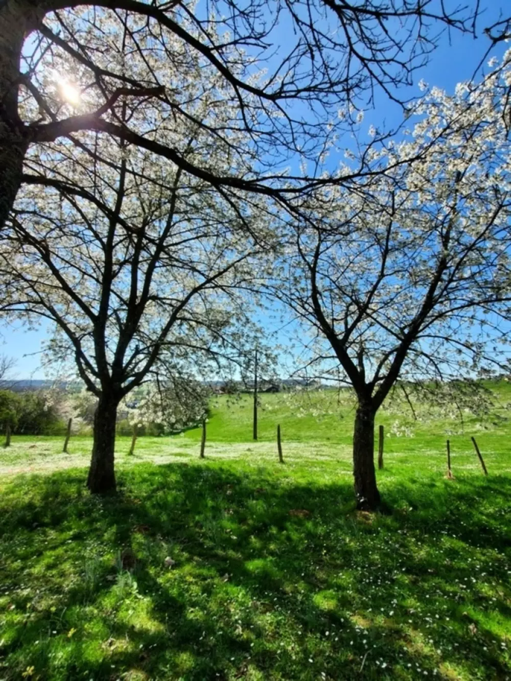 Camping de la Liez Nie, nie.