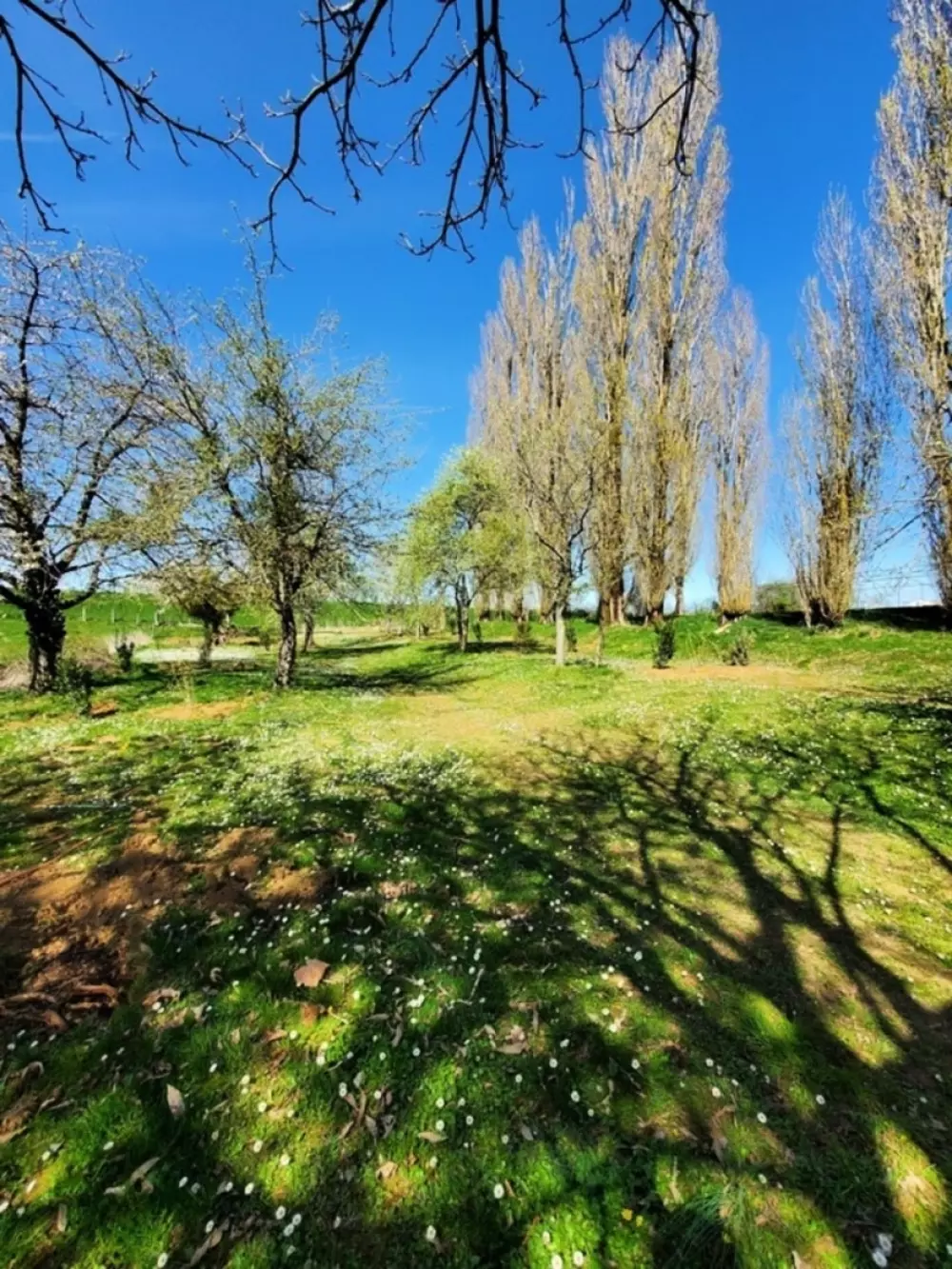 Camping de la Liez Nie, nie.