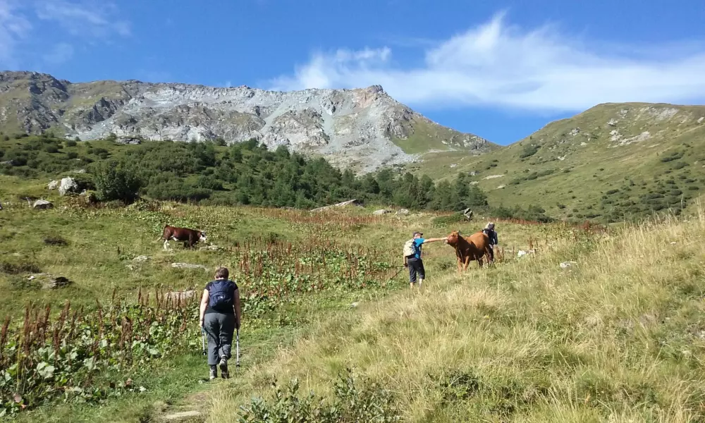 Campsite Les Lanchettes 3 Csillagok★★★