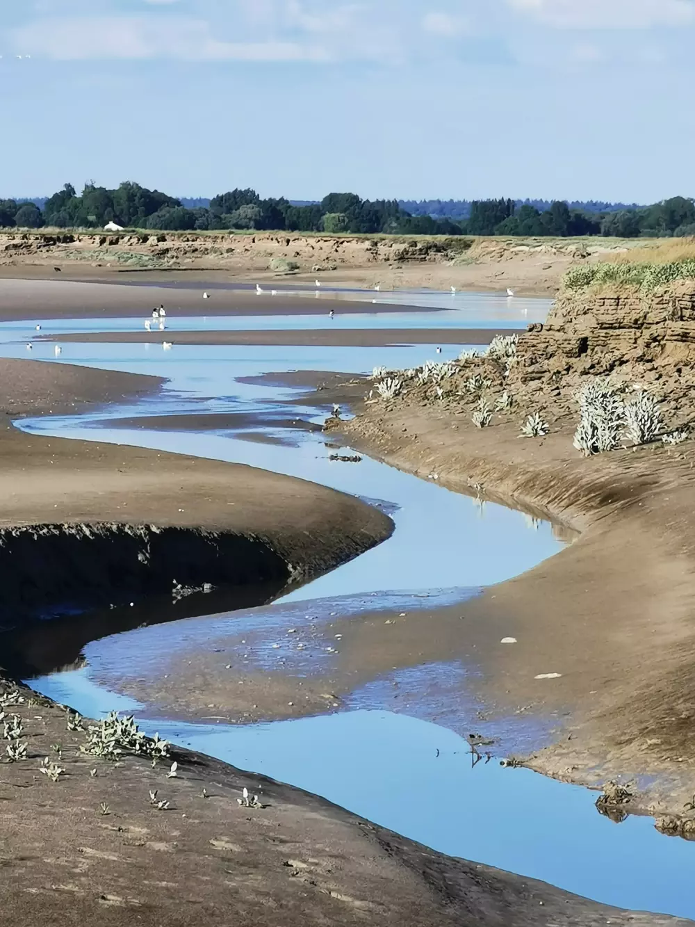 Camping de la Baie Sites en Landschappen - Baie de Somme 3 Sterren★★★