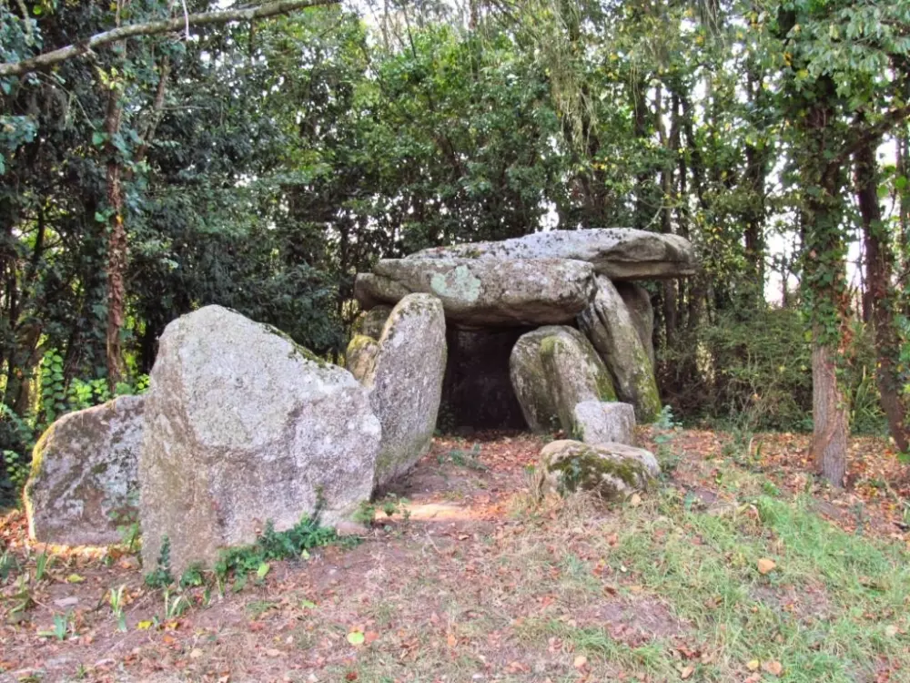 Blomster Camping Cap Finistère Tætning
