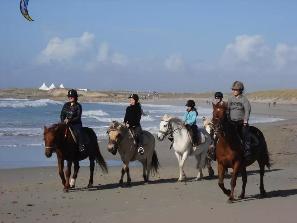 Blomster Camping Cap Finistère Tætning