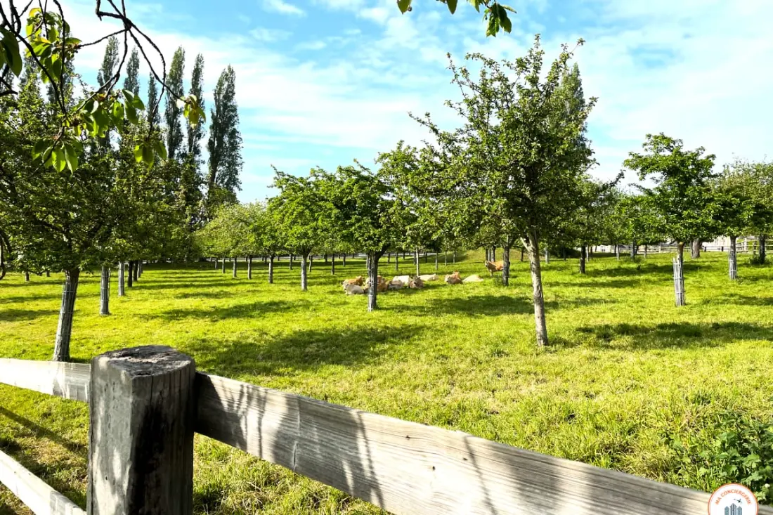 La Hulotte - Sea And Countryside - Domaine D'apreval