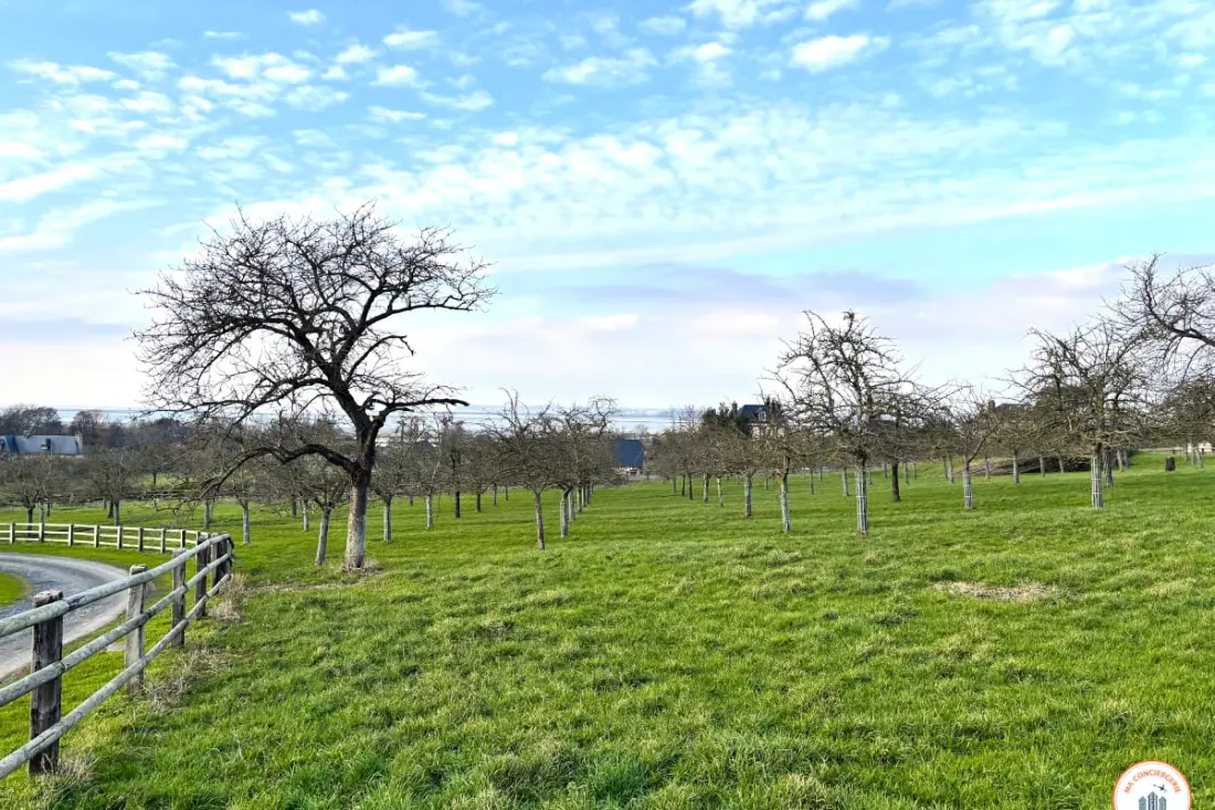La Hulotte - Sea And Countryside - Domaine D'apreval
