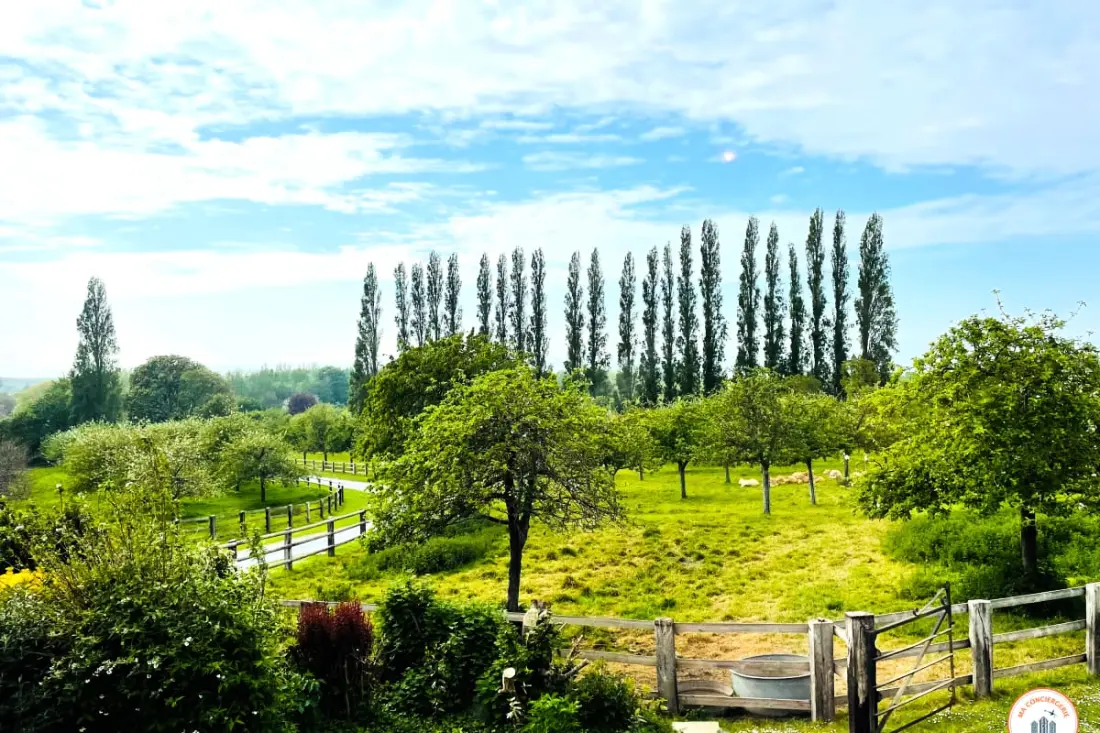 La Hulotte - Sea And Countryside - Domaine D'apreval