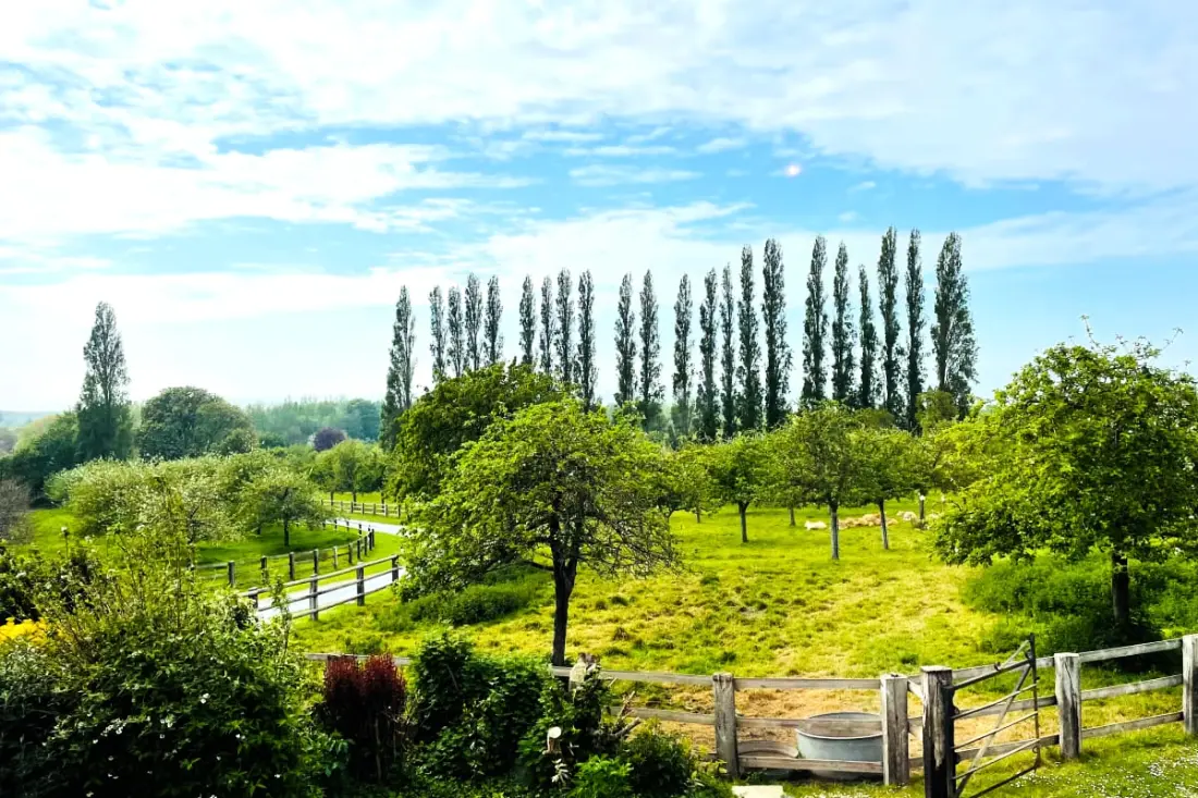 dalszöveg: La Tourterelle - Sea View - Domaine D'apreval