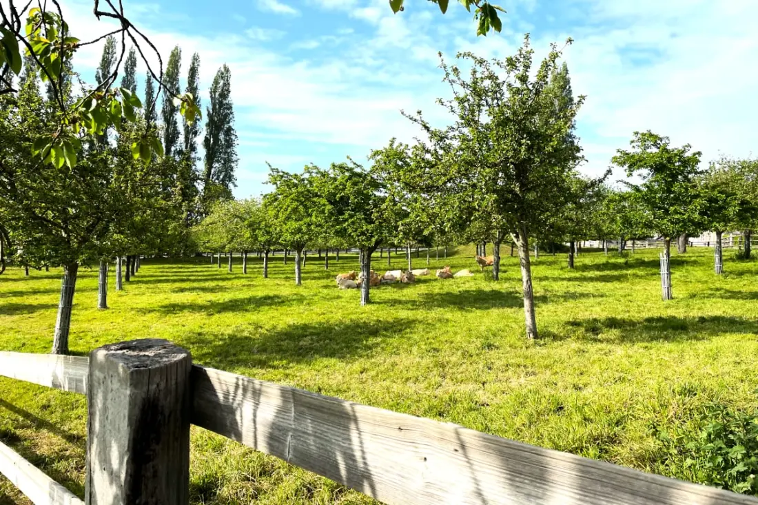 dalszöveg: La Tourterelle - Sea View - Domaine D'apreval