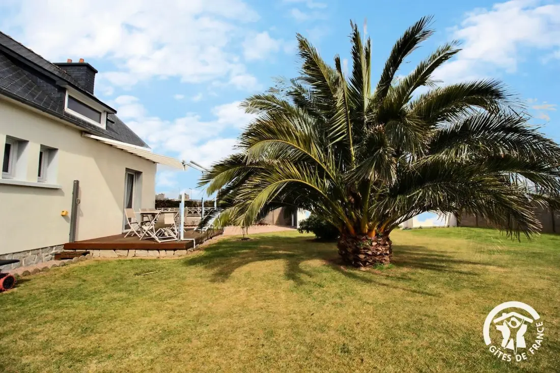 Gîte de France Der Palmbaum 3 Ohren