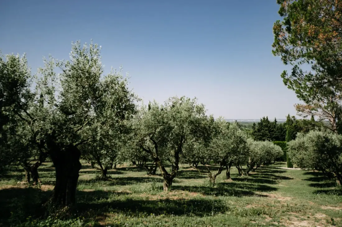 La Volière - Pernes-les-fontaines