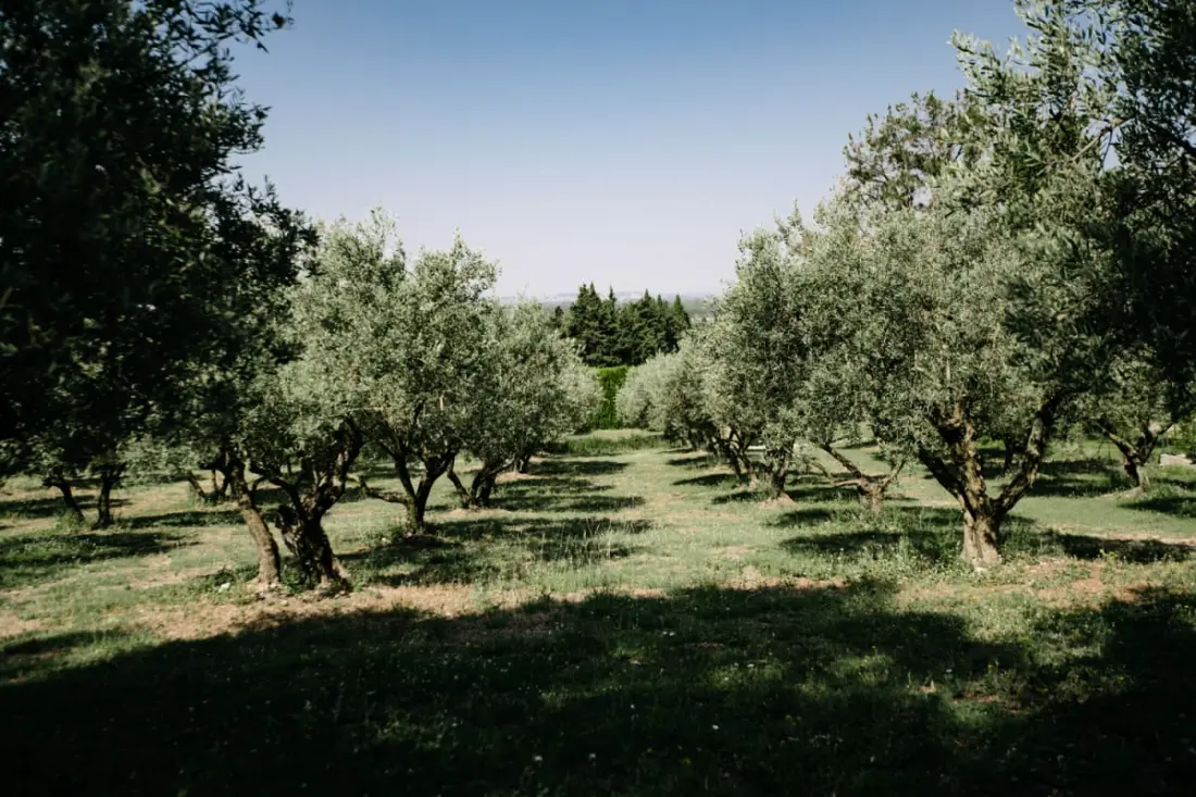 La Volière - Pernes-les-fontaines