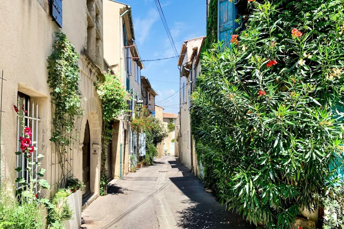 Appartement La Cigale | Diane's nesten