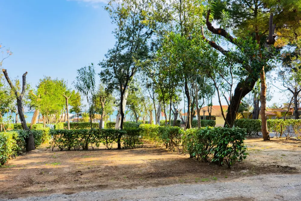 Baia Holiday San Nicola 4 Sterren★★★★