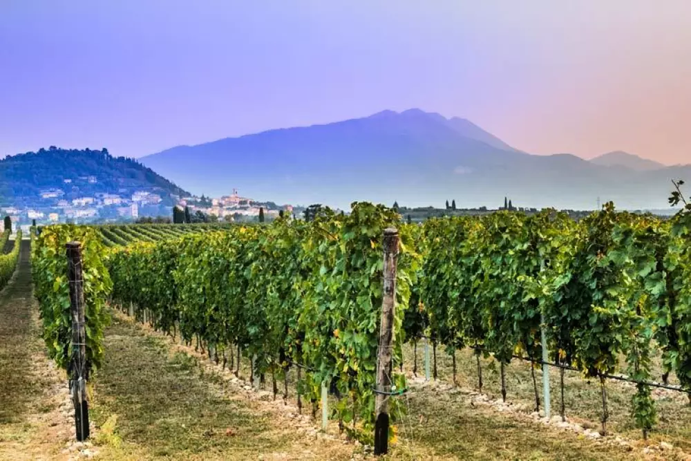 Camping Butterfly4 Sterren★★★★