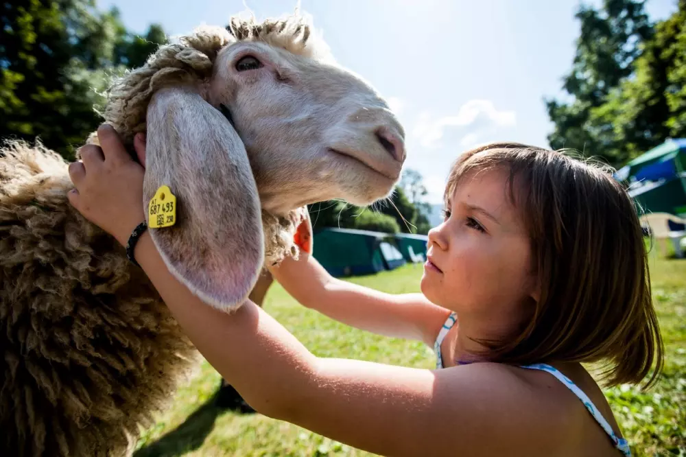 Campsite Bella Austria - Nie.