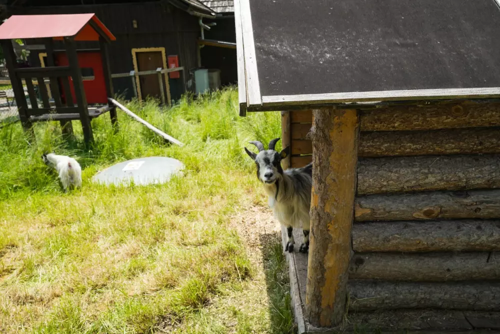 Campsite Bella Austria - Nie.