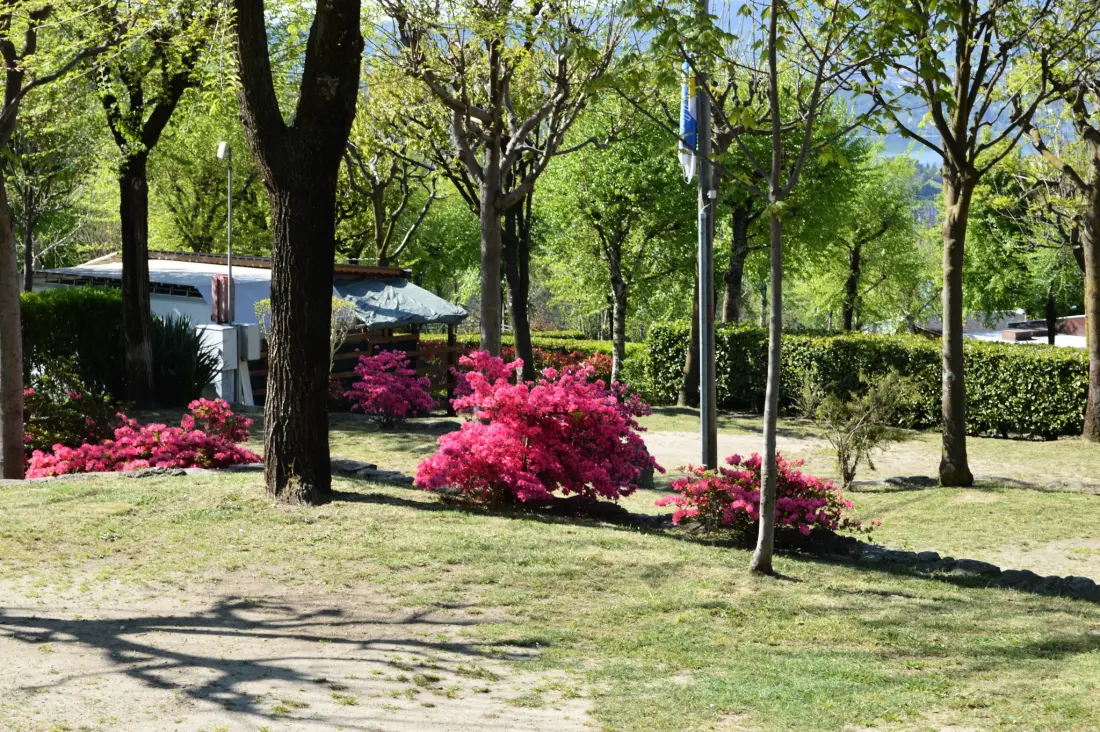 Camping Royal 2 Stars★★