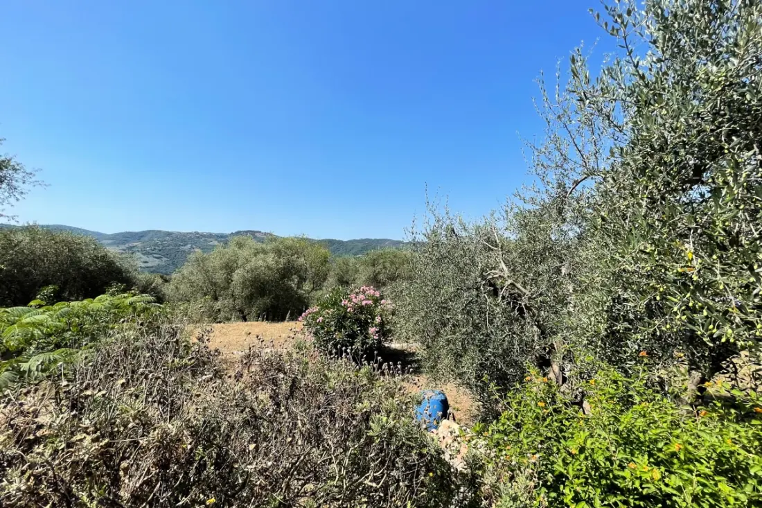 Mas Provençal 6 Pers Peymeinade Közel Cannes