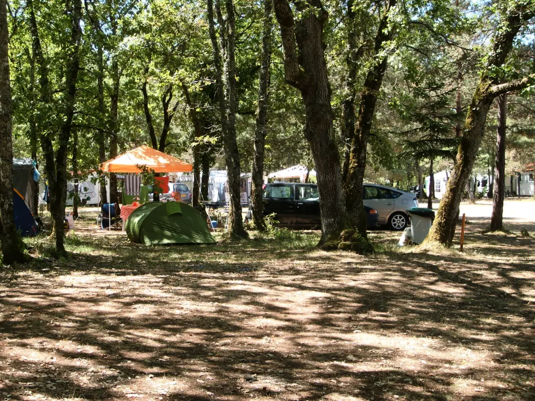 CAMPING THE FORET 3 Estrellas★★★