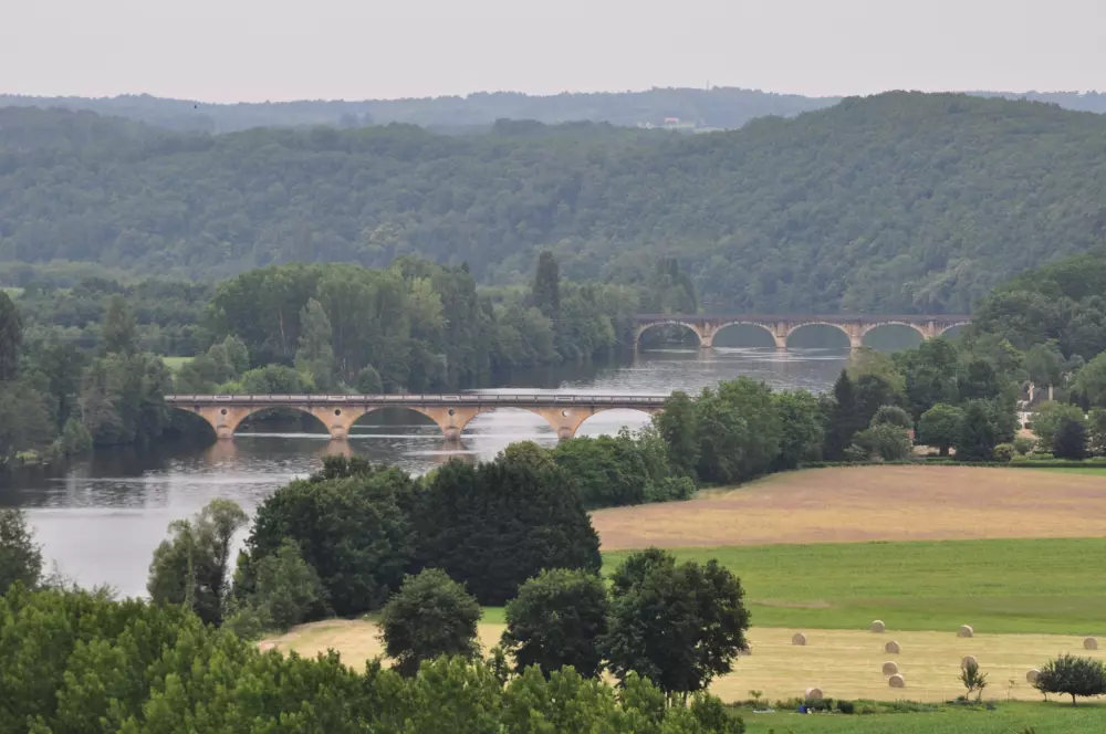 CAMPING THE FORET 3 Sterren★★★