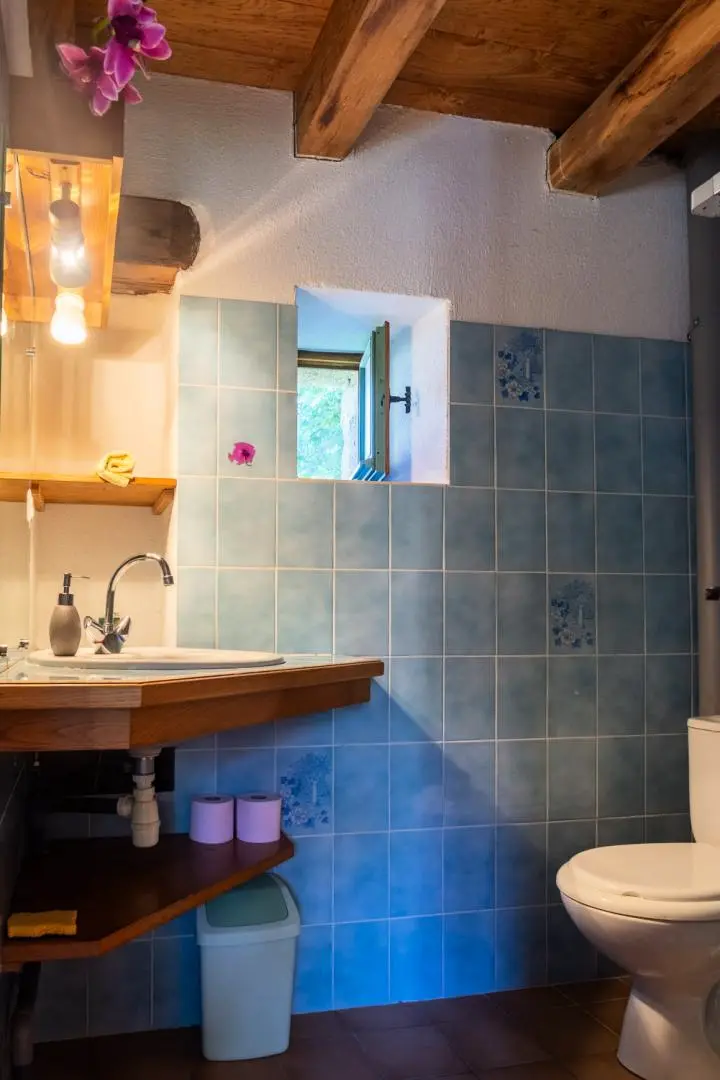 Gîte de France Le Four, Beyssiere Bauernhof 2 Ähren