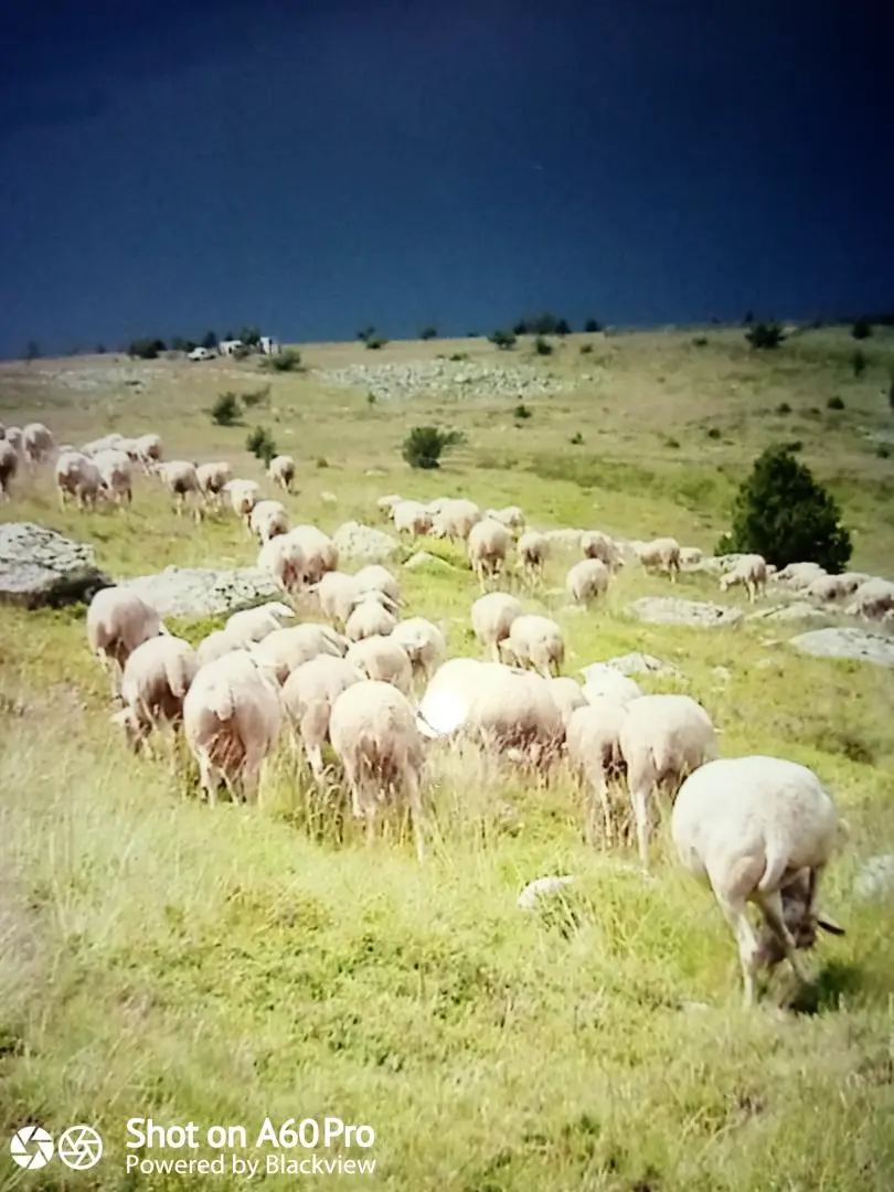 Gîte de France Le Four, Beyssiere Bauernhof 2 Ähren
