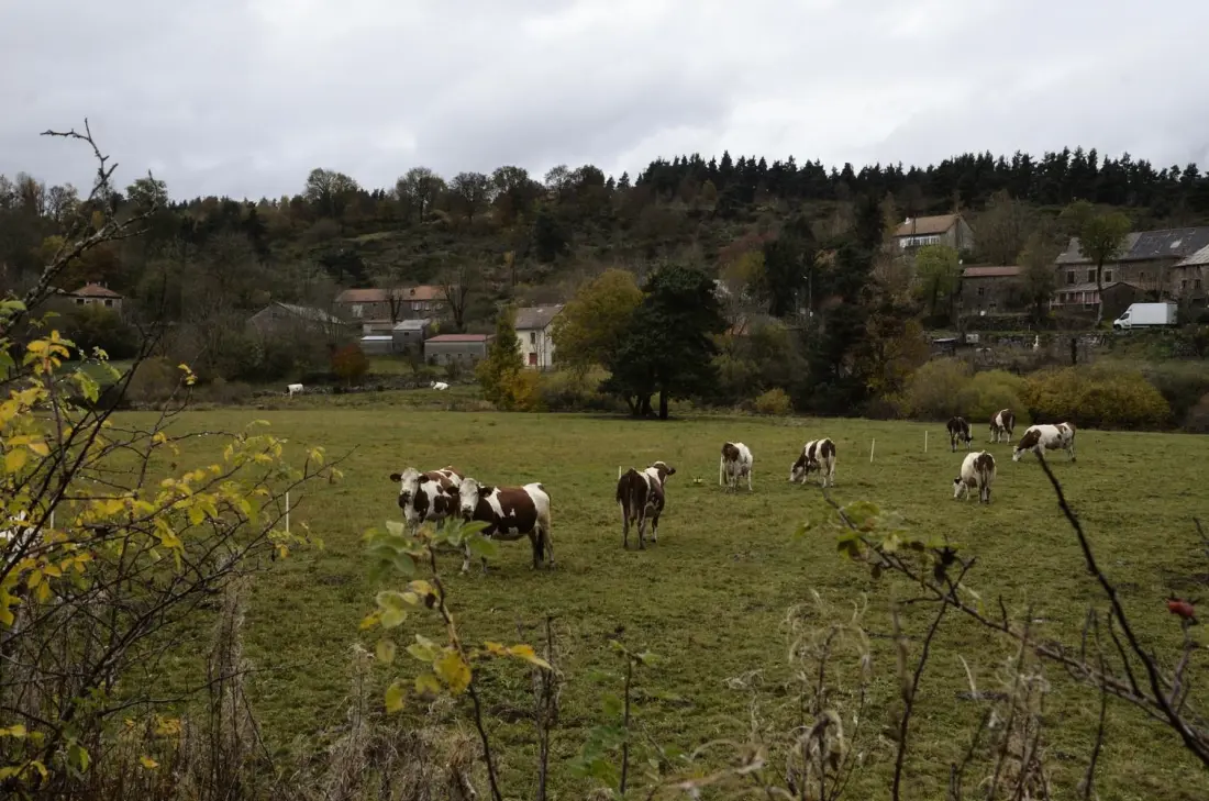 Gîte de France Der gerandete Papagei 2 Ohren