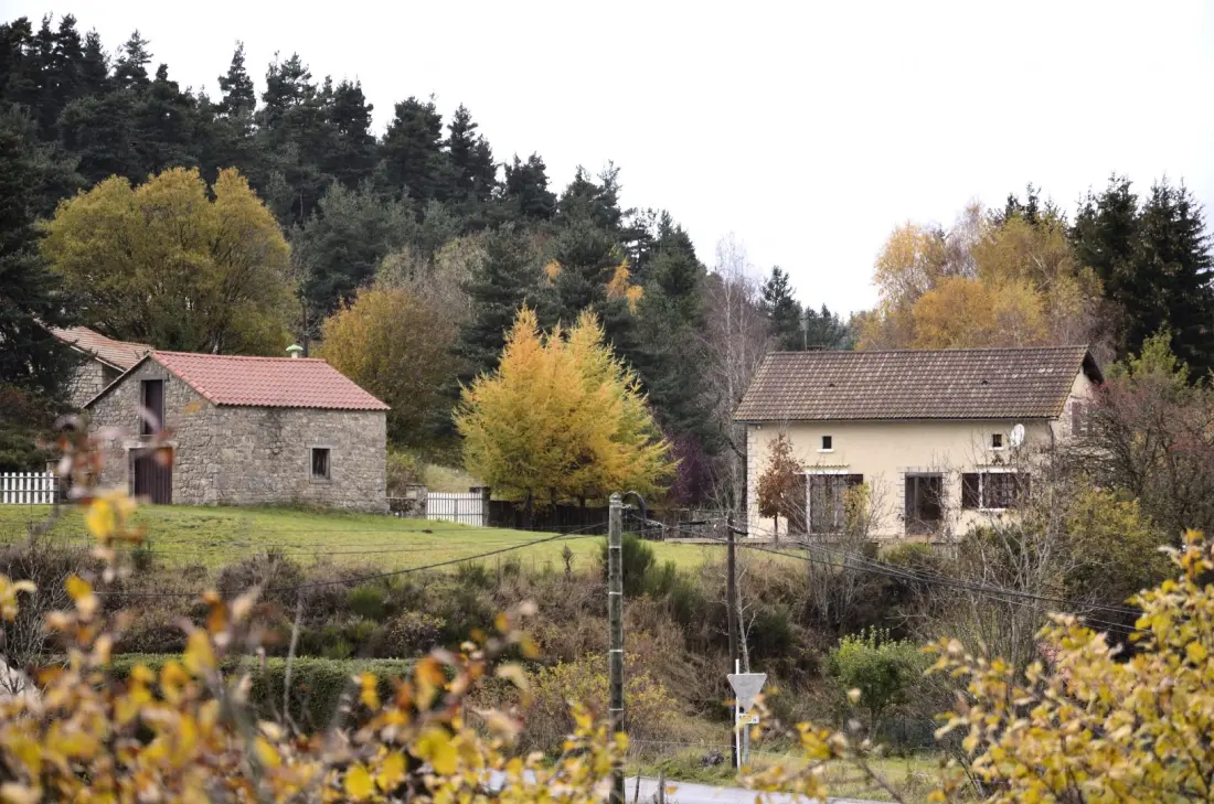 Gîte de France Der gerandete Papagei 2 Ohren