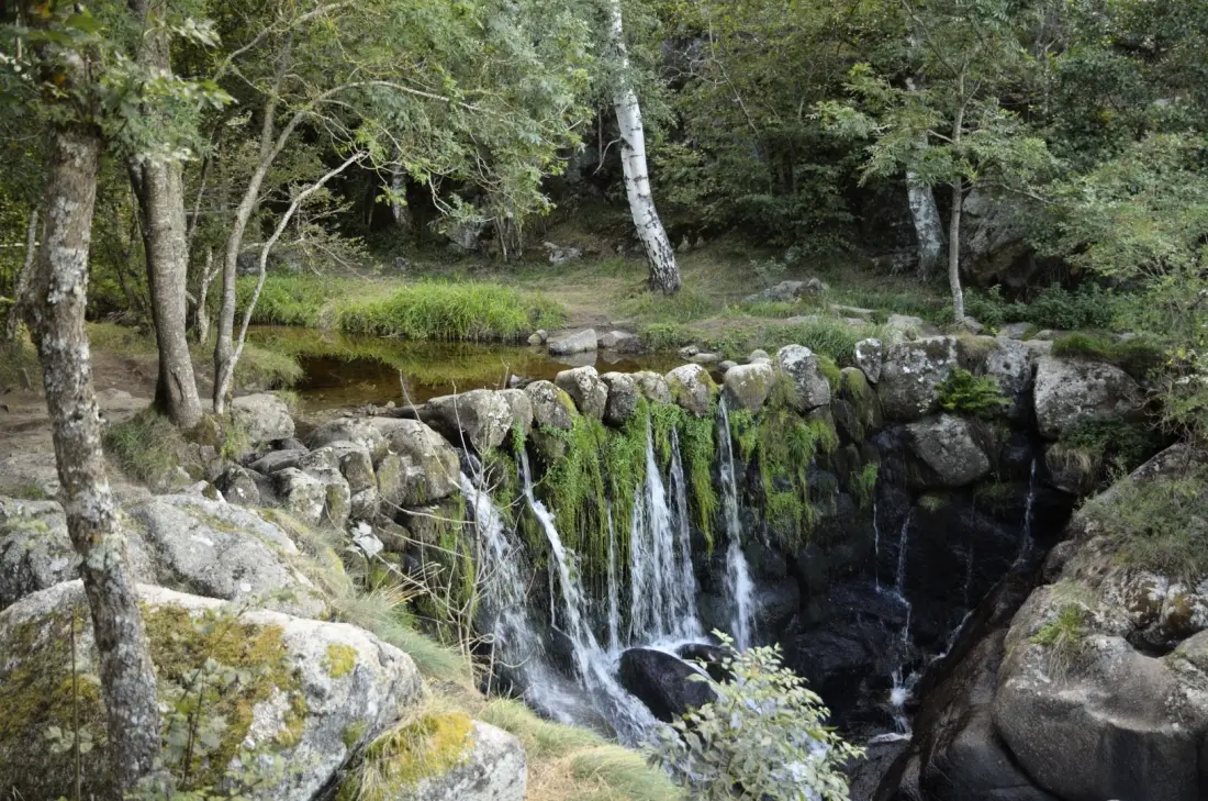 Gîte de France Der gerandete Papagei 2 Ohren