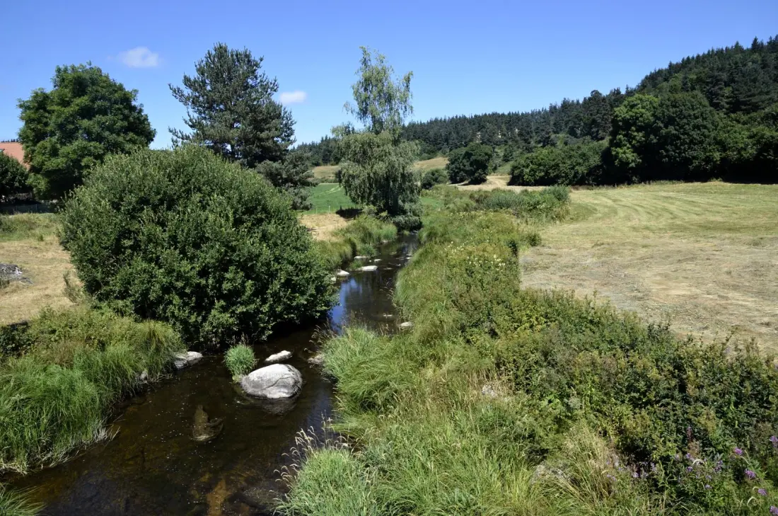Gîte de France Der gerandete Papagei 2 Ohren