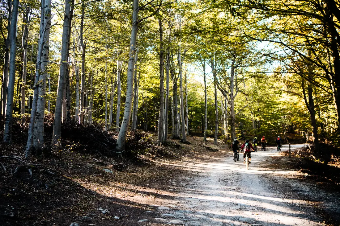 Camping dei Fiori 2 Stars★★