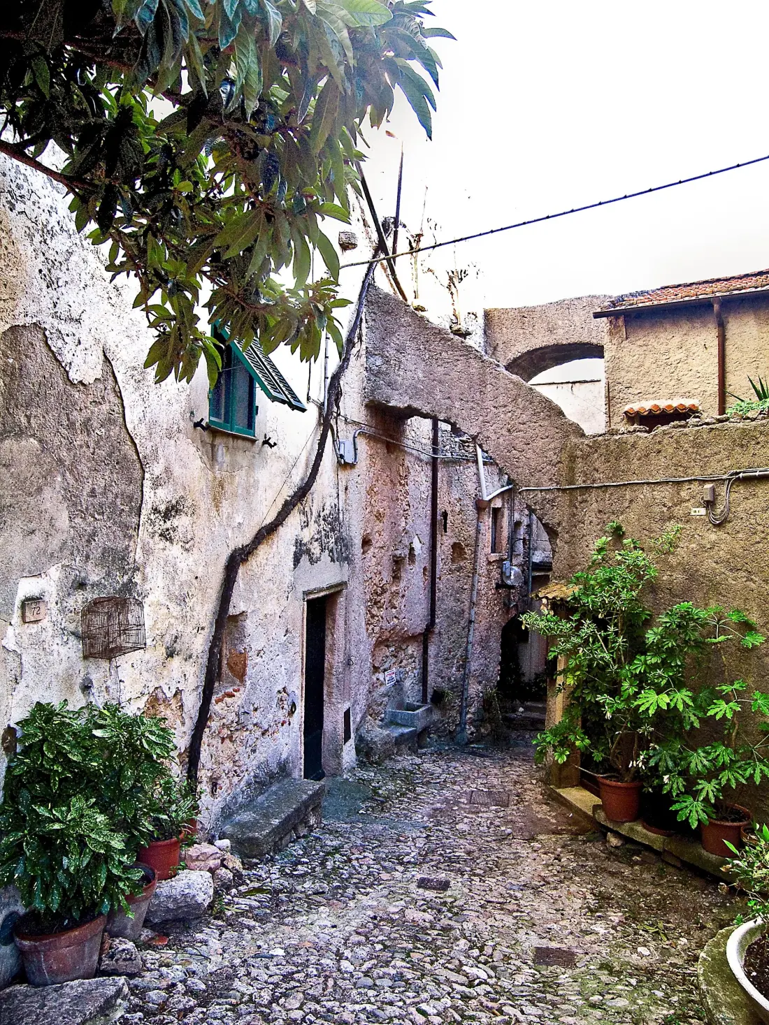Camping dei Fiori 2 Stars★★