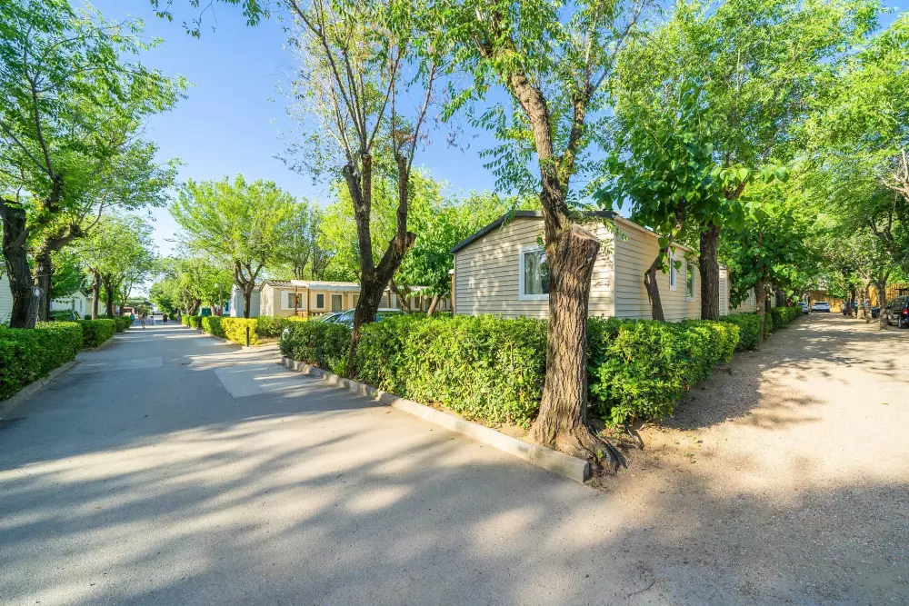 Campsite Caballo de Mar