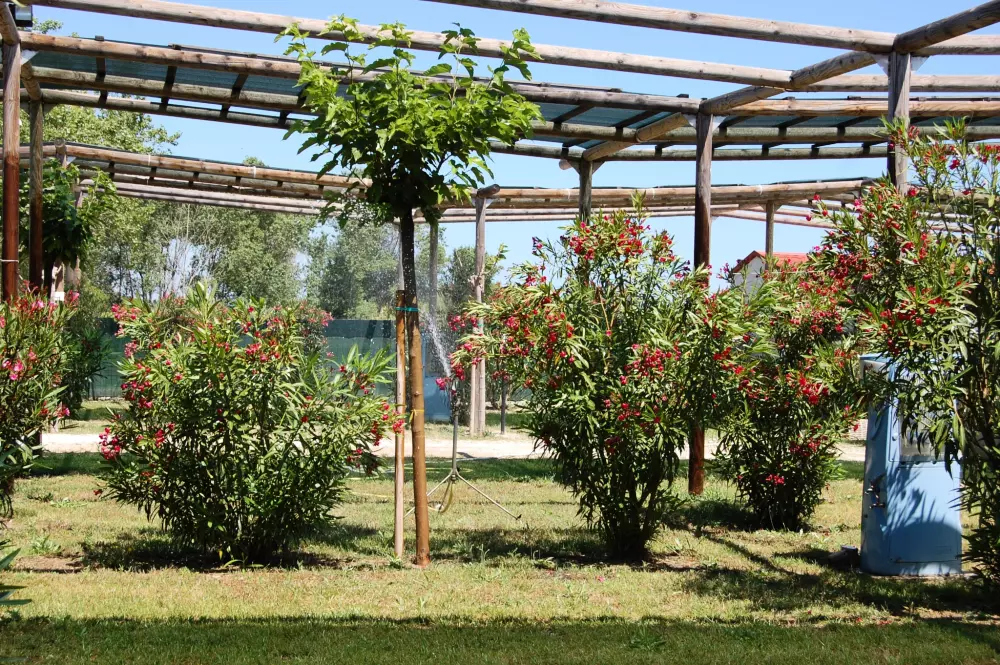 Heliopolis Camping & Village 4 Sterren★★★★