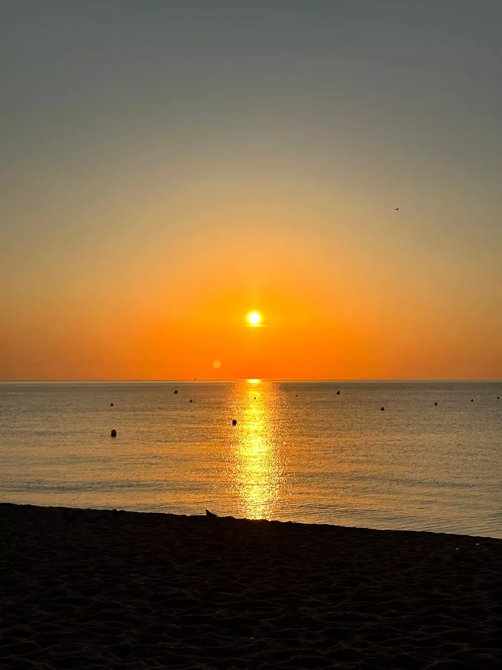 Camping Vall d 'Or 3 Gwiazdy★★★ 3 Gwiazdy★★★ 3 Gwiazdy★★★