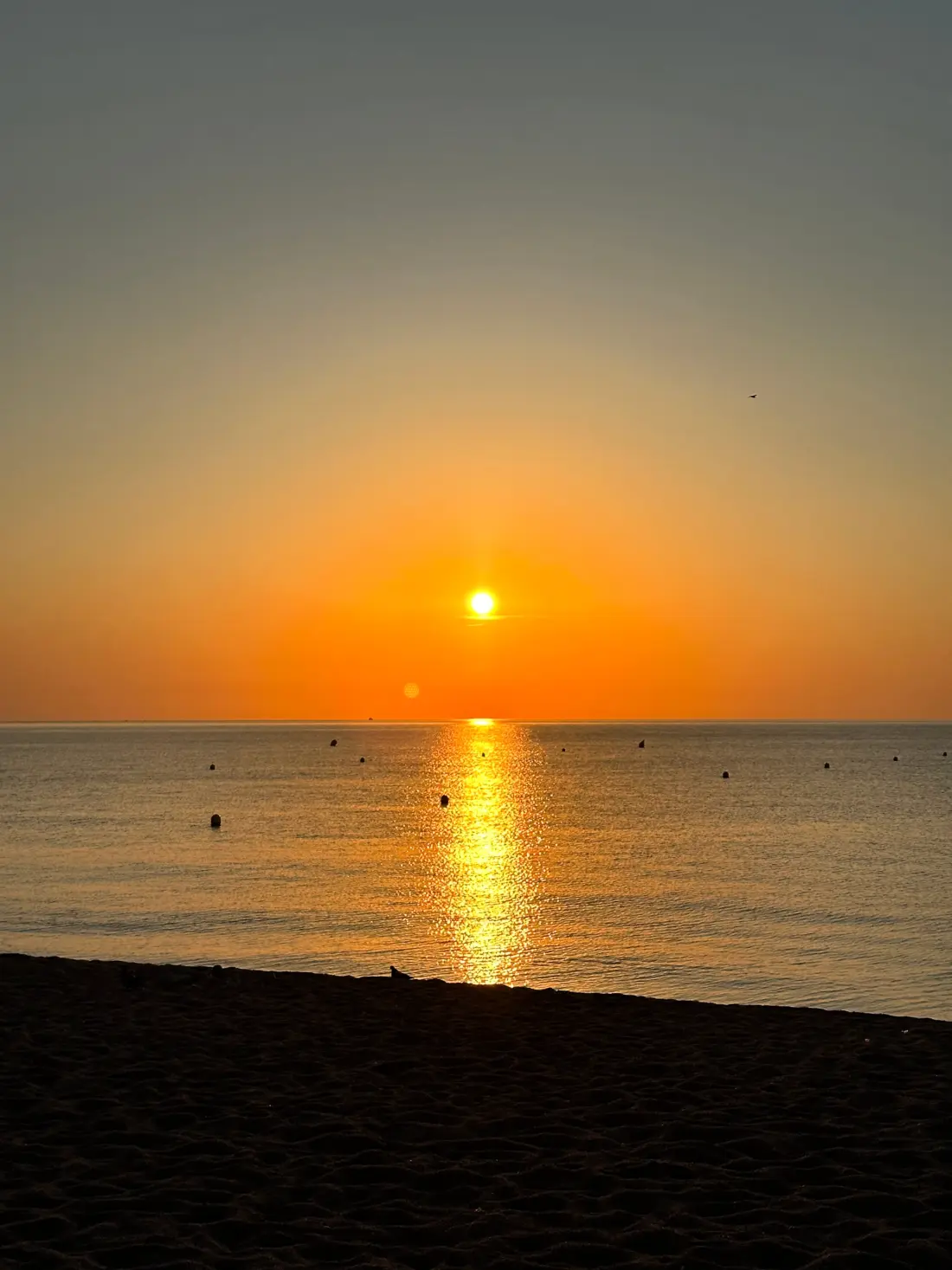 Camping Vall d'Or 3 Sterne★★★