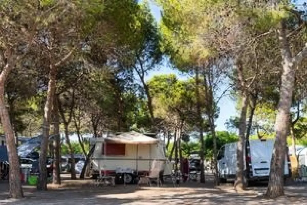 Camping Sandaya Valencia 4 Sterne★★★★