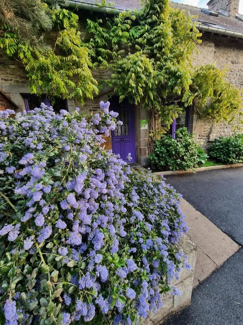 Gîte de France Ostrea edulis 2 Ähren