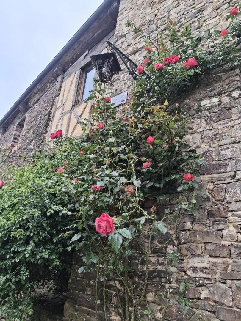 Gîte de France De broceliand ford 3 oren