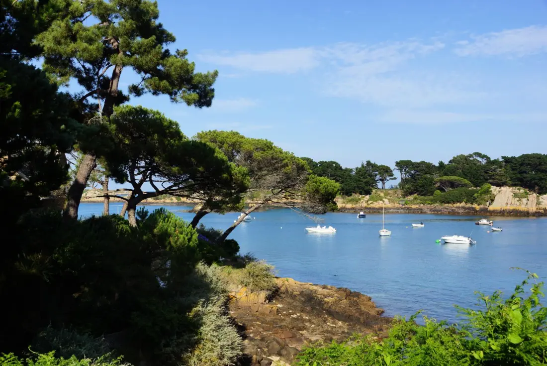 Gîte de France La belle étoile 3 épis