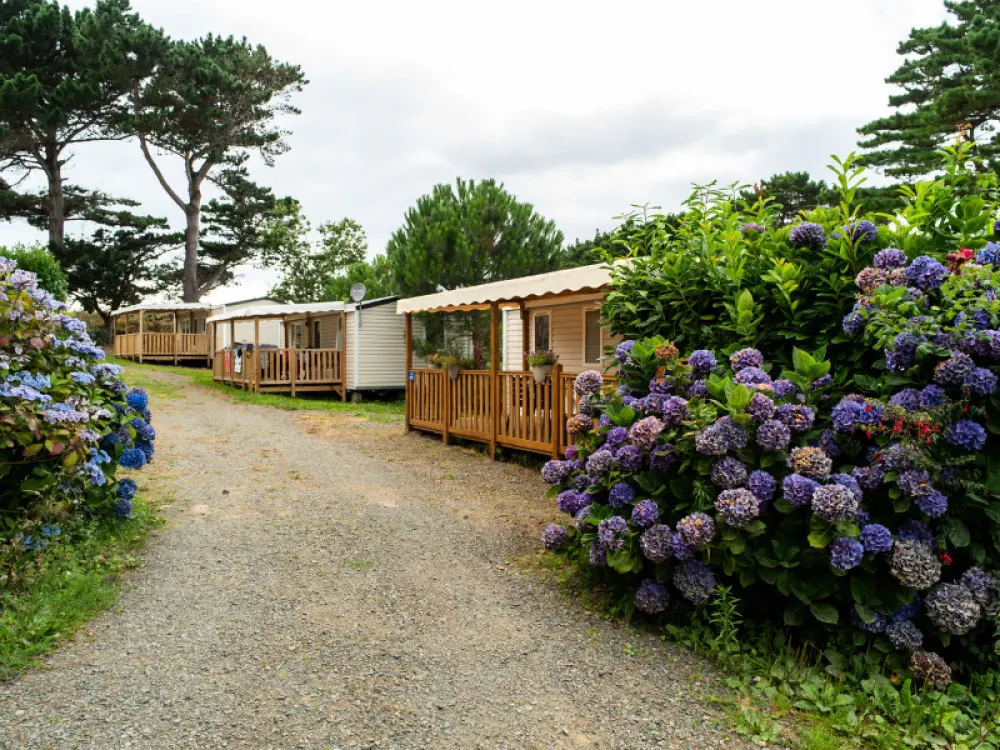 Fiore Camping Port de la Chaîne